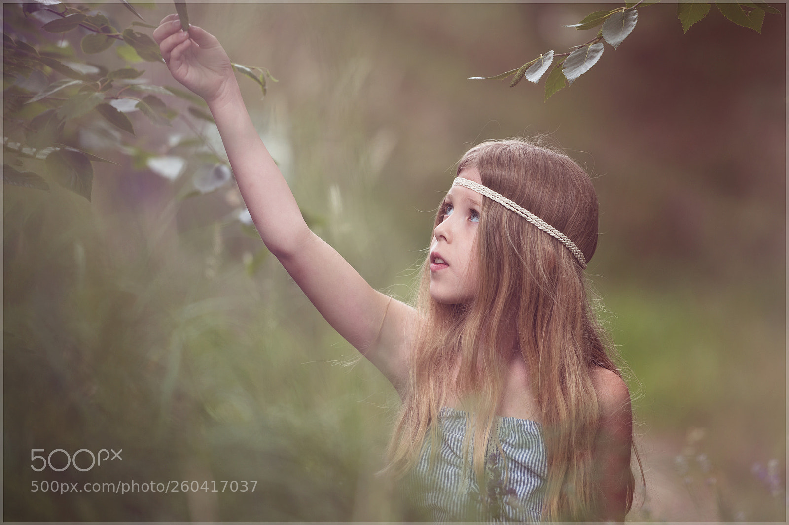 Nikon D750 sample photo. Waldfee photography
