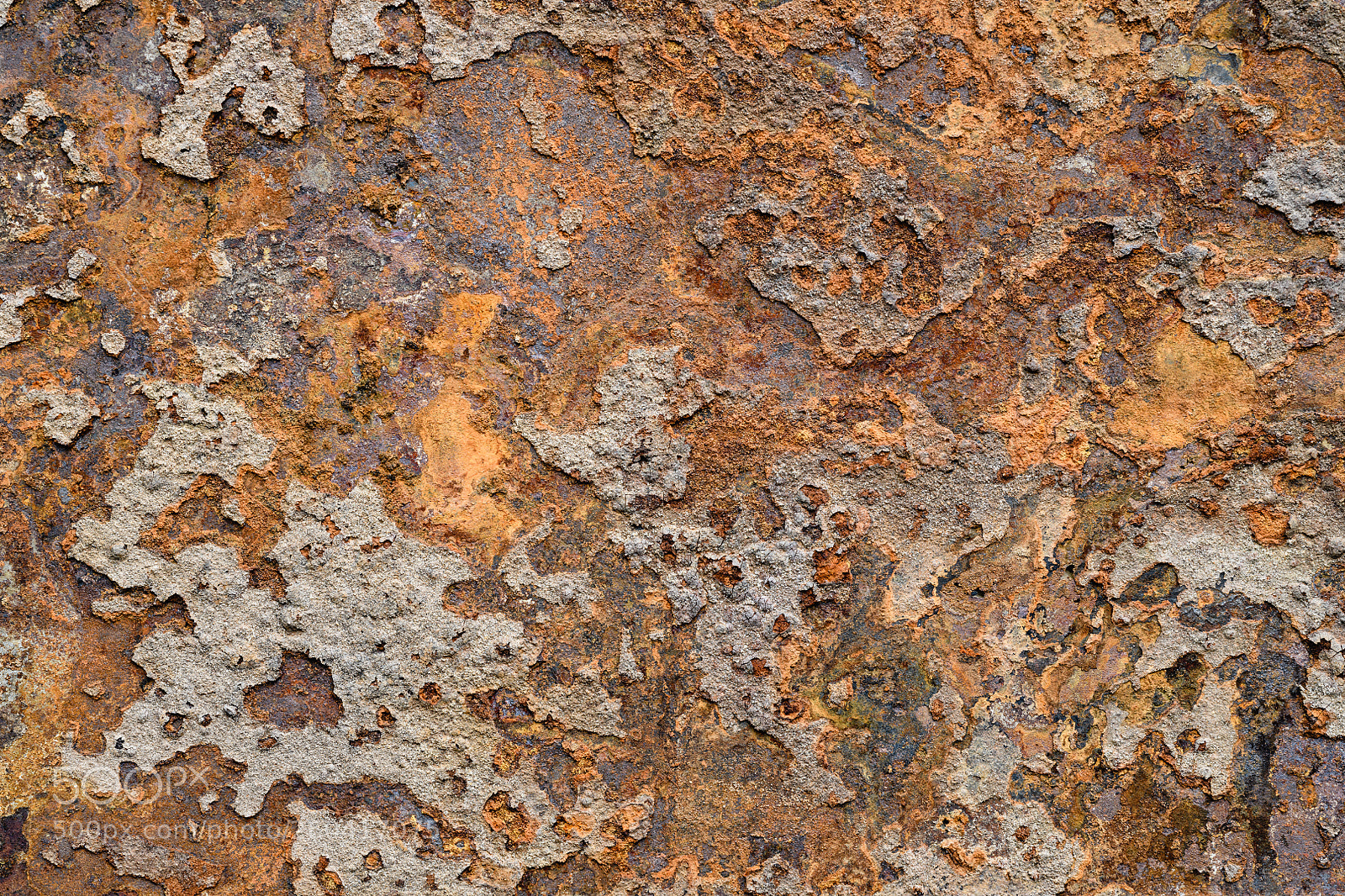 Nikon D850 sample photo. Rusted metal background photography