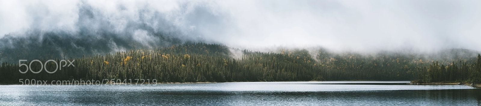 Nikon D500 sample photo. Lac gouache photography