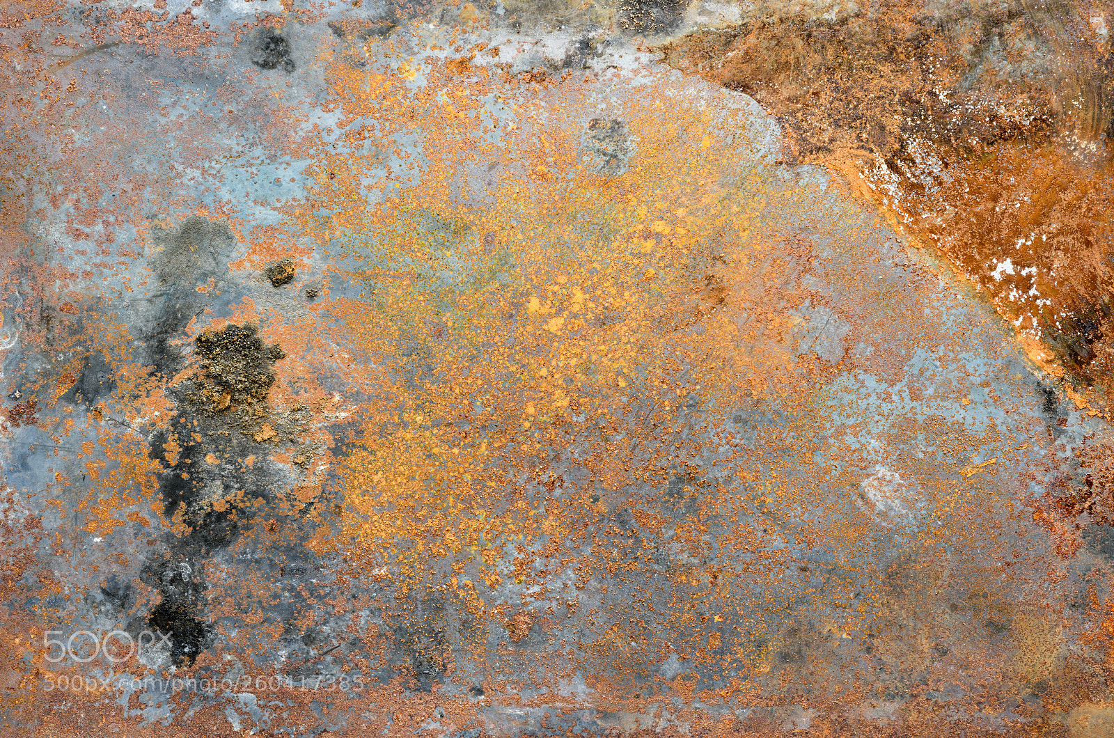Nikon D850 sample photo. Rusted metal background photography