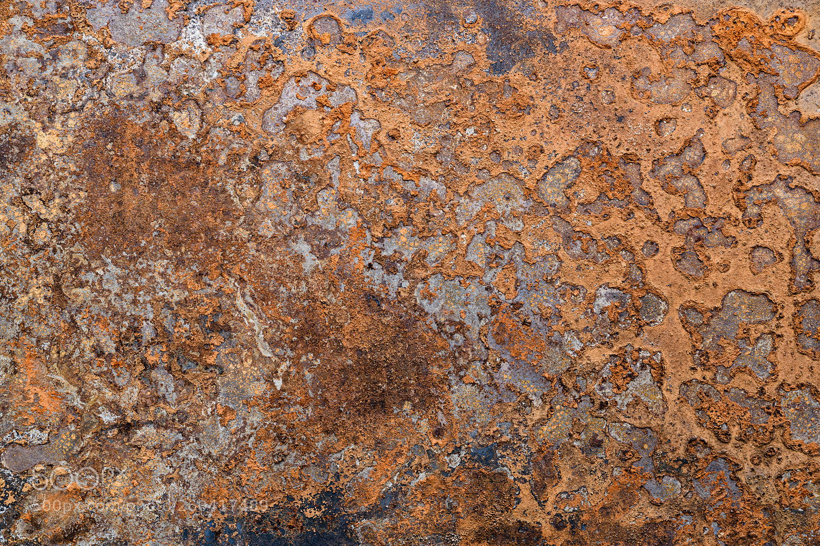Nikon D850 sample photo. Rusted metal background photography
