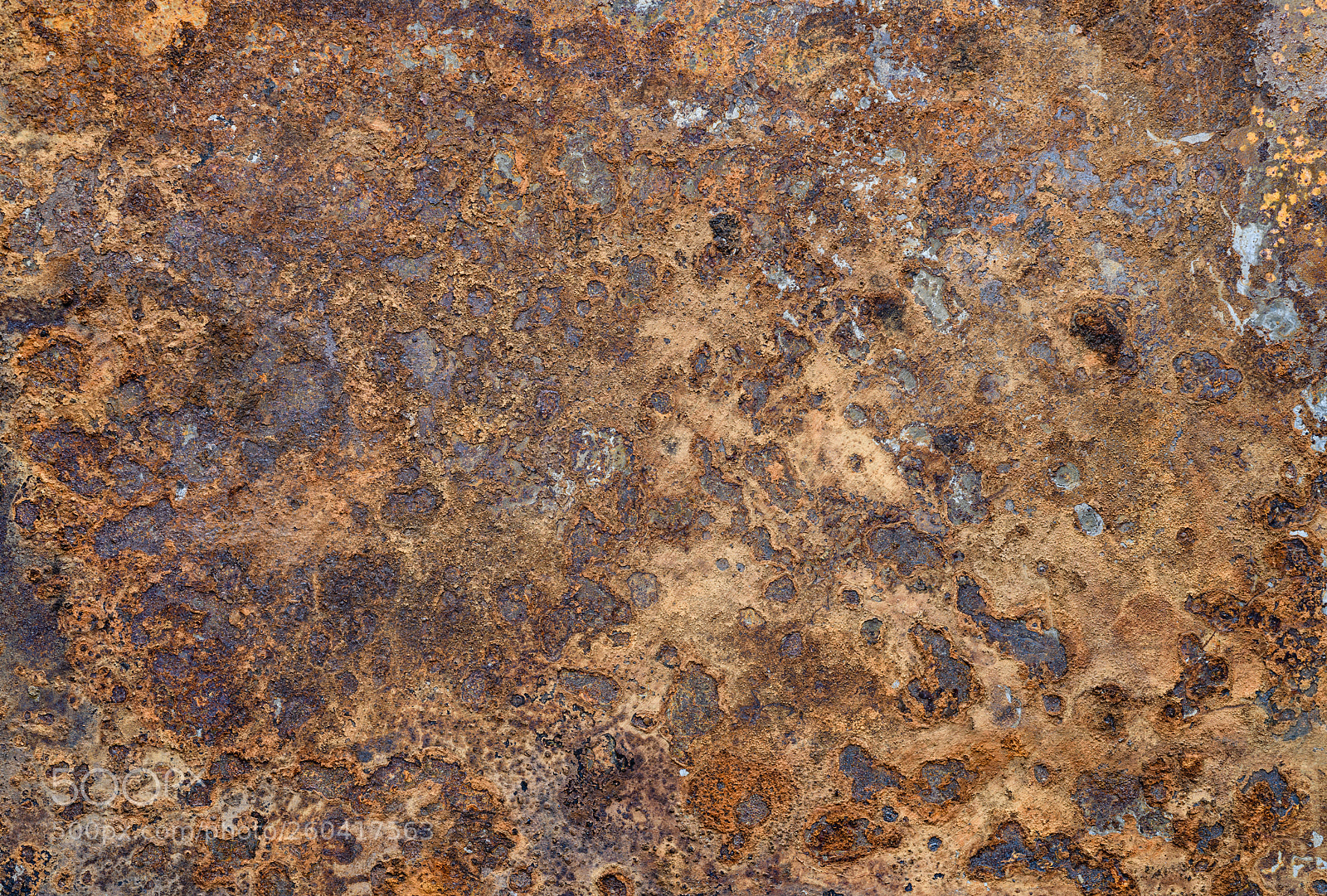 Nikon D850 sample photo. Rusted metal background photography