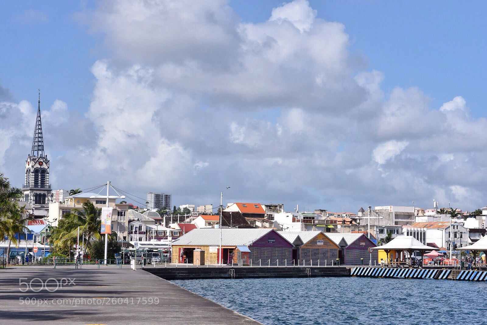 Nikon D750 sample photo. Martinique  photography