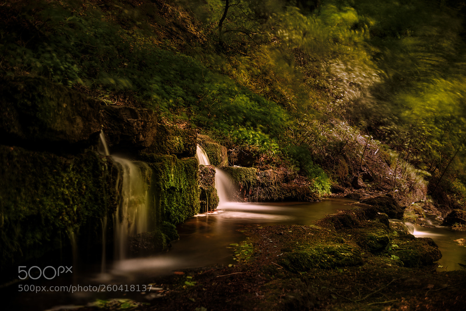 Nikon D810 sample photo. 125.jpg photography