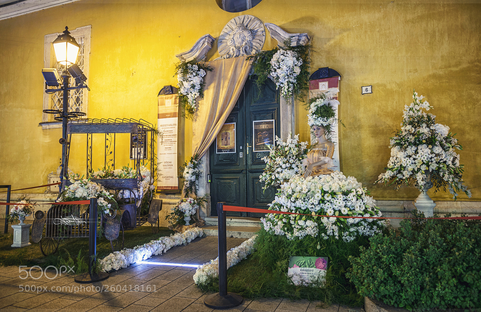 Nikon D5300 sample photo. Decoration photography
