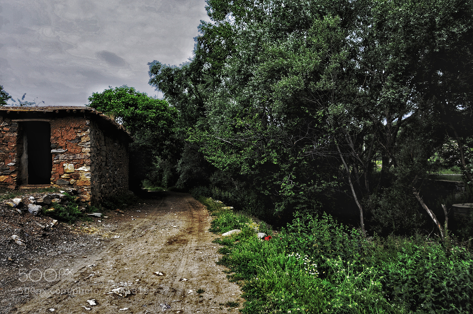 Nikon D90 sample photo. Untitled photography