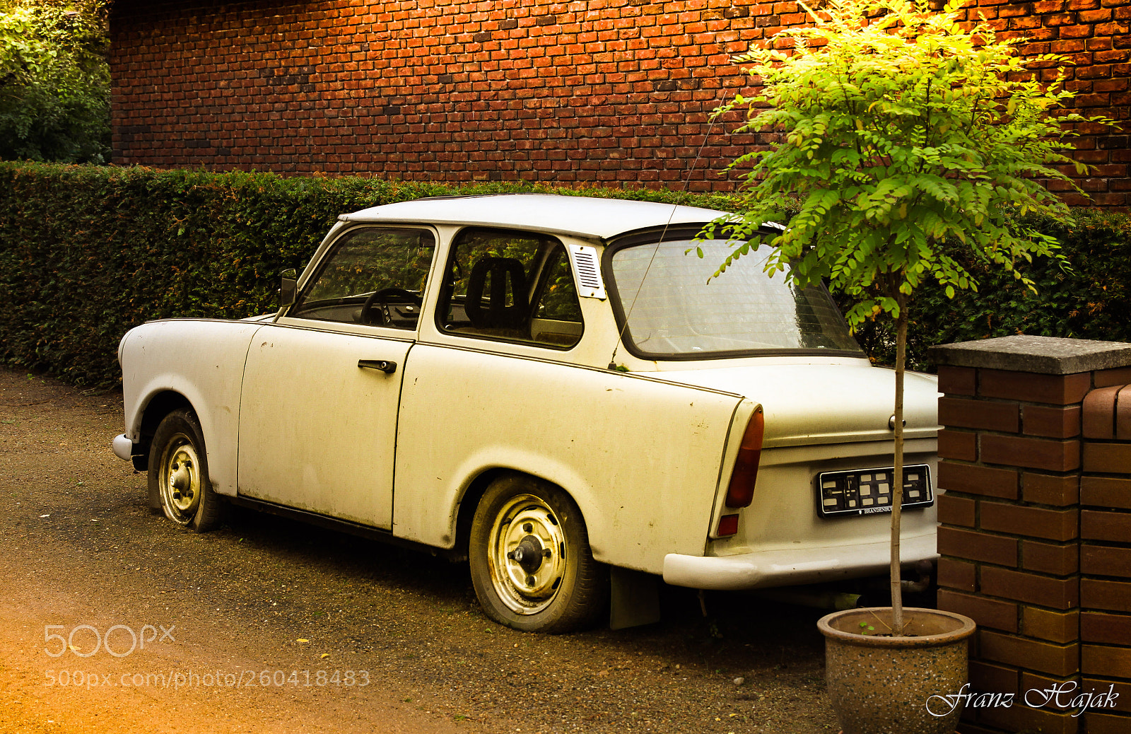 Canon EOS 50D sample photo. Old friend trabbi photography
