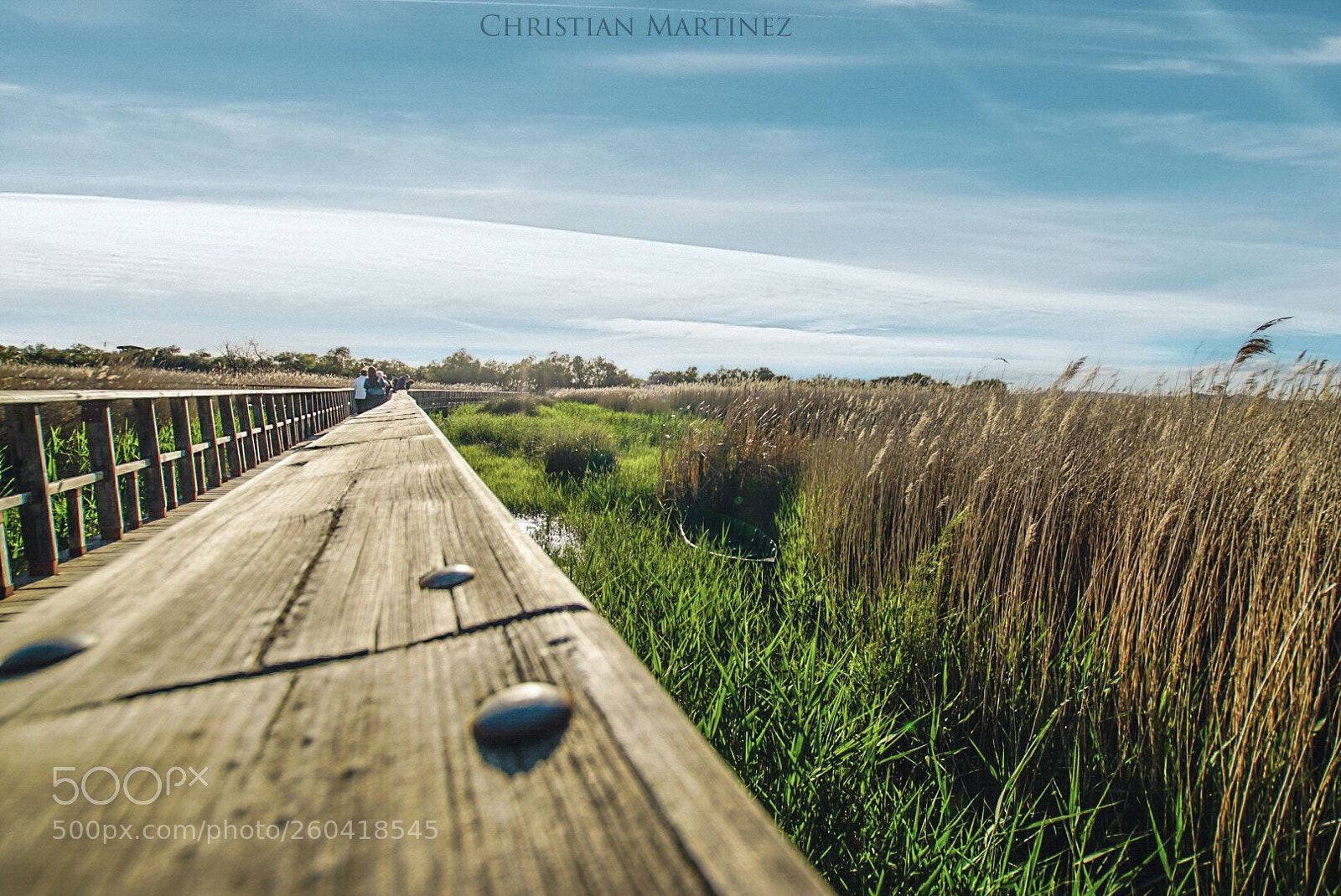 Sony ILCA-77M2 sample photo. Untitled photography