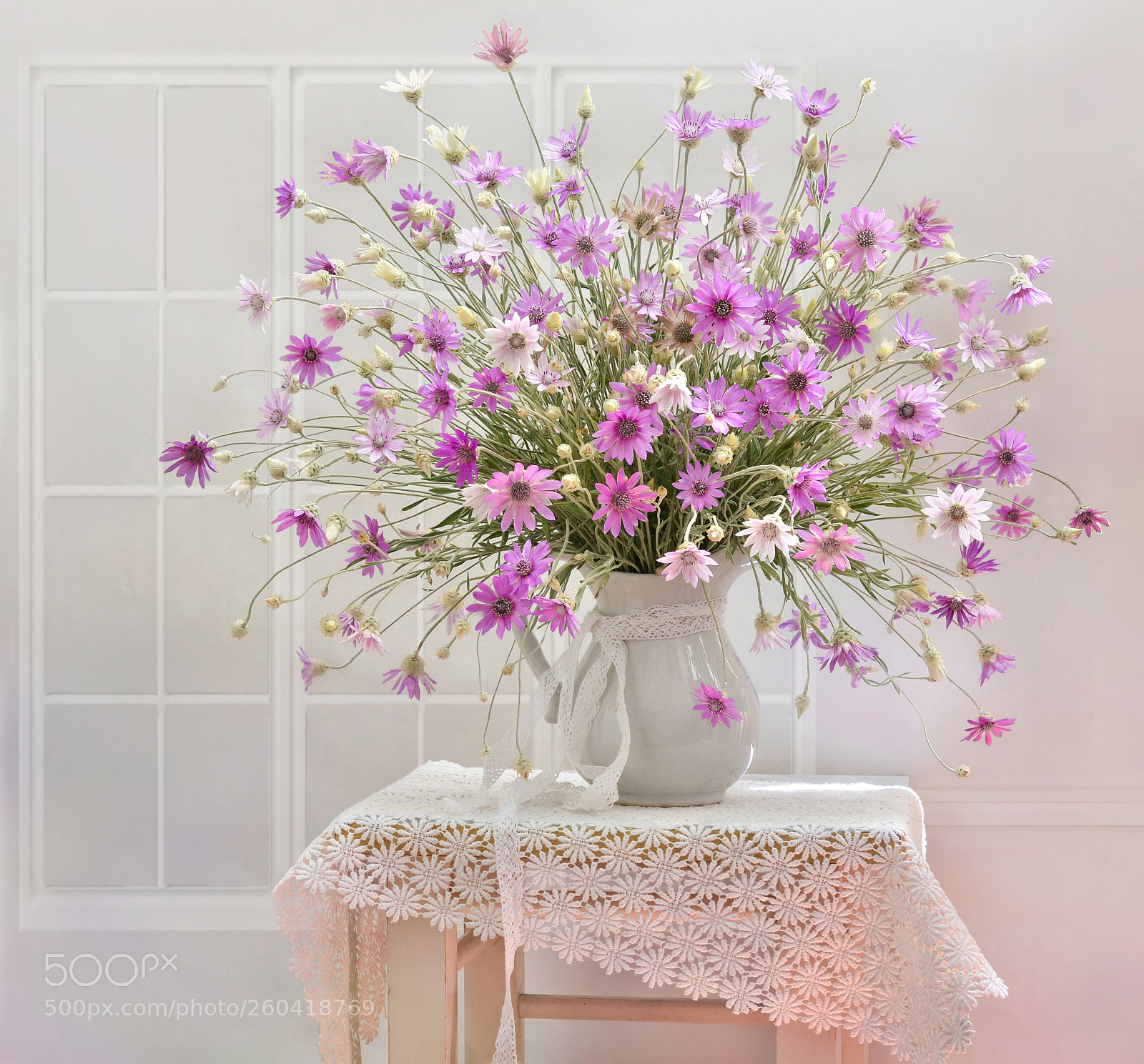 Nikon D7000 sample photo. Сиреневые ромашки photography