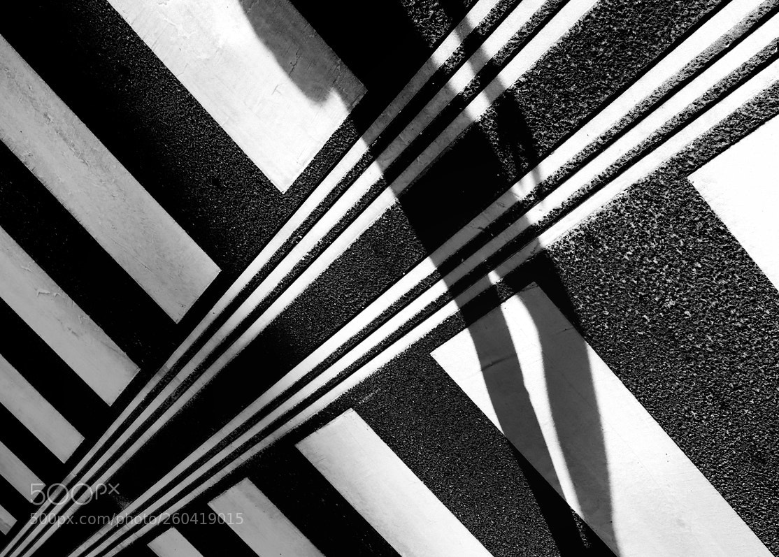 Nikon D500 sample photo. Jamas bw 035 photography