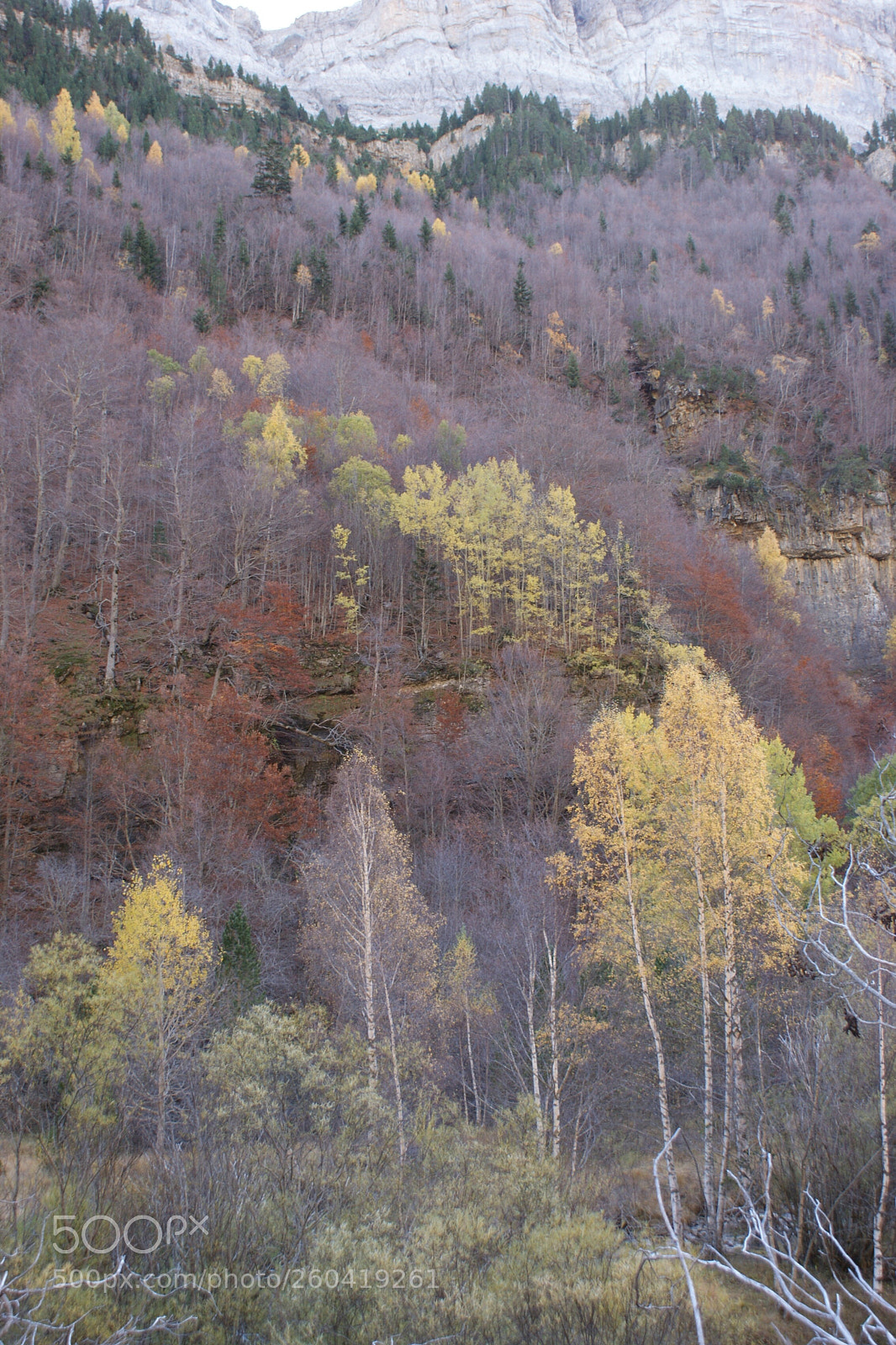 Sony Alpha DSLR-A350 sample photo. Parque nacional de ordesa photography