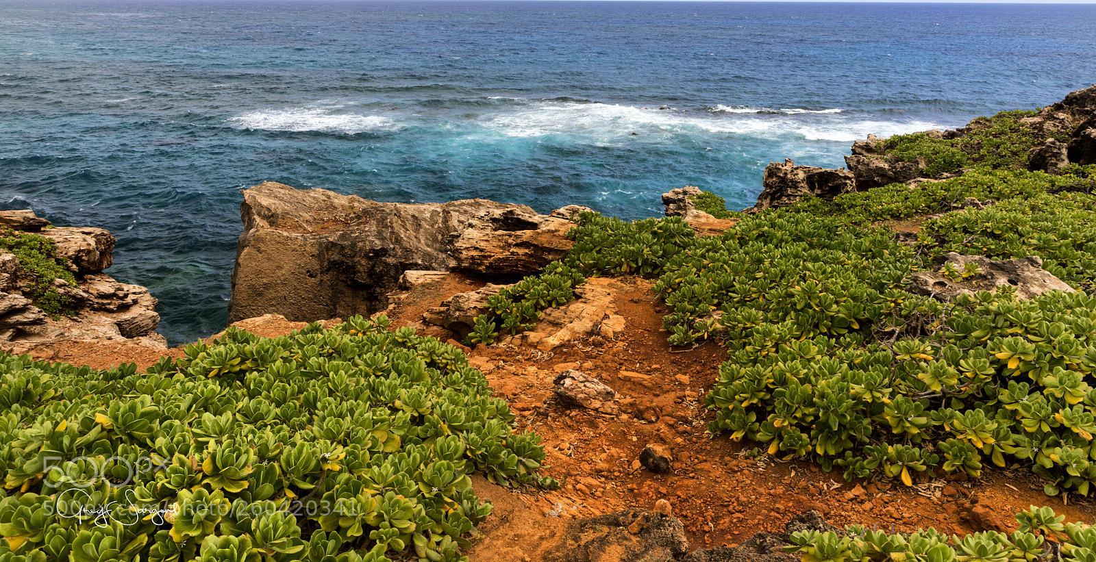 Canon EOS 5D Mark IV sample photo. A path to the photography