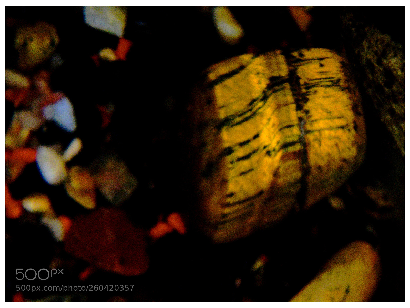 Nikon D5300 sample photo. "boa noite e... photography