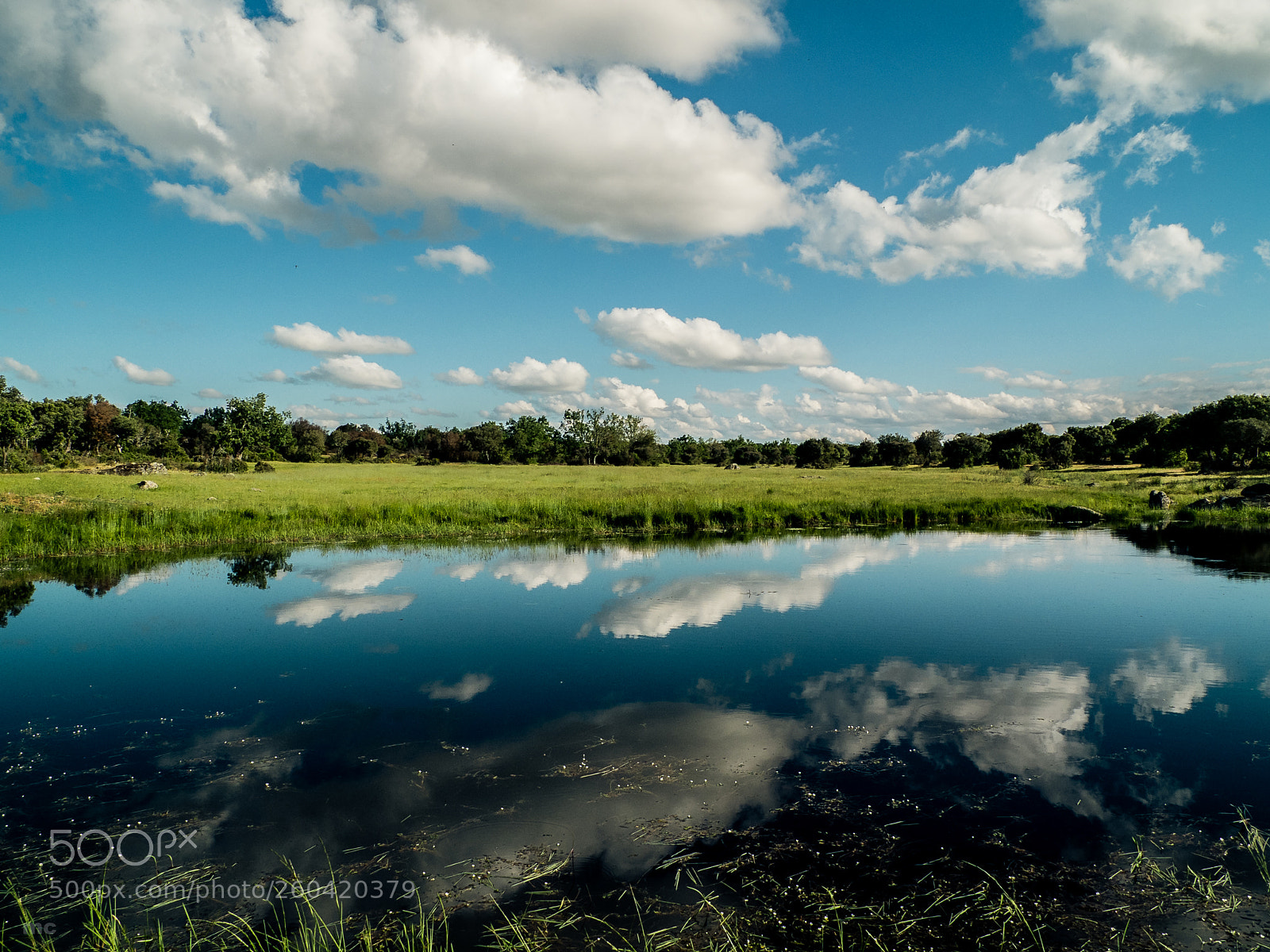 Fujifilm X10 sample photo. Reflection photography