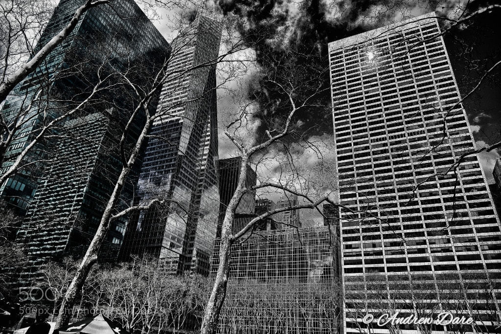 Nikon D810 sample photo. Bryant park nyc photography