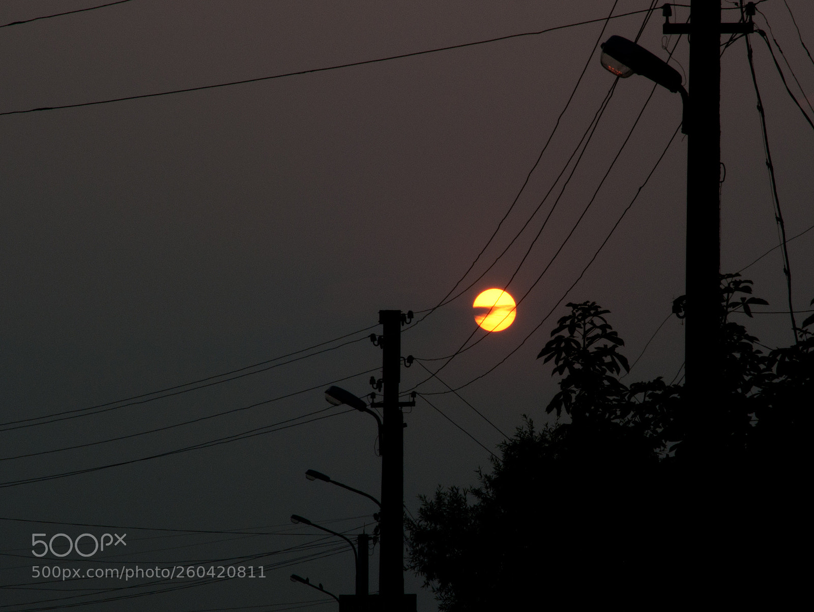 Nikon D5000 sample photo. *** photography