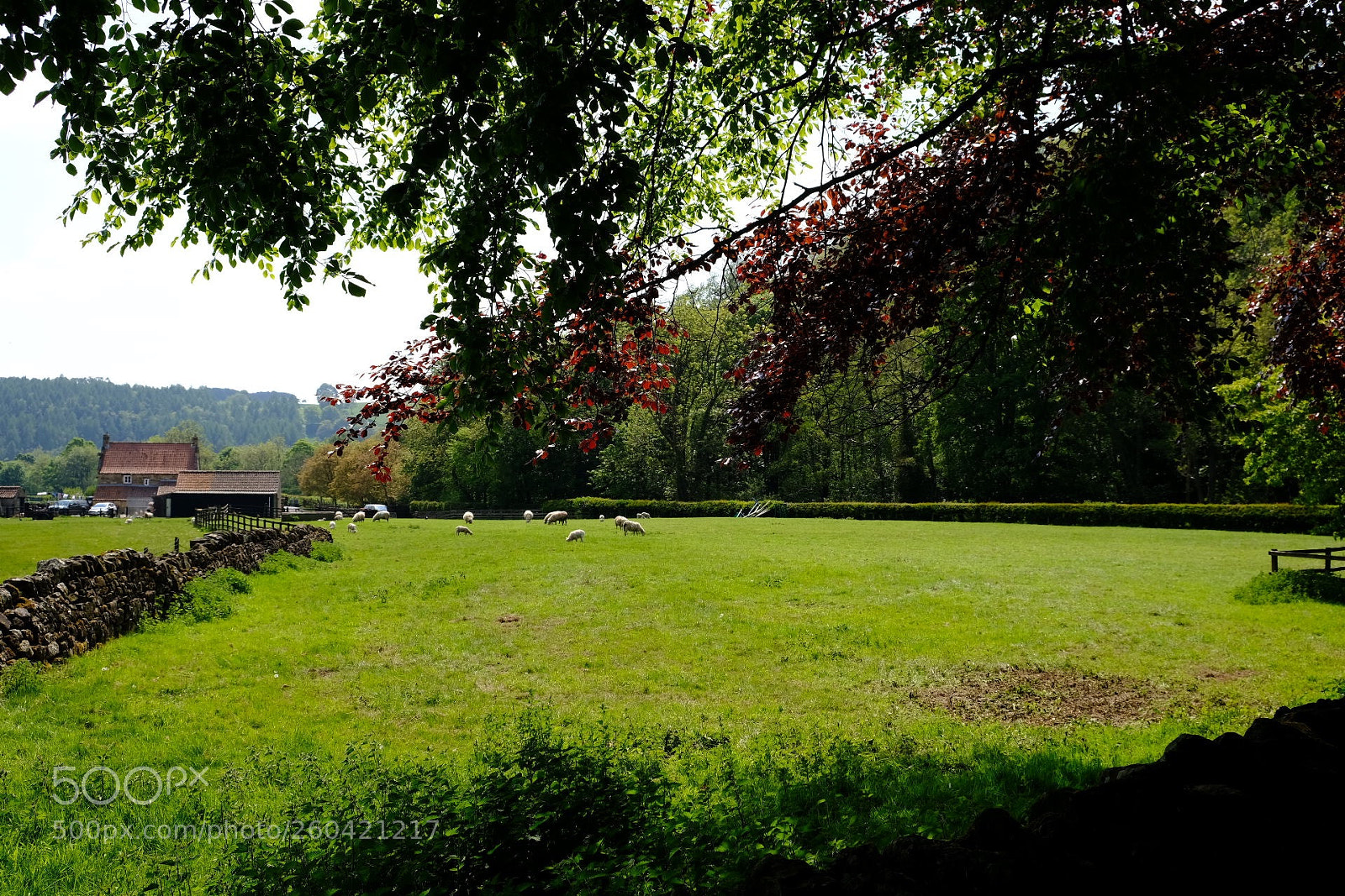 Fujifilm X-Pro2 sample photo. Untitled photography
