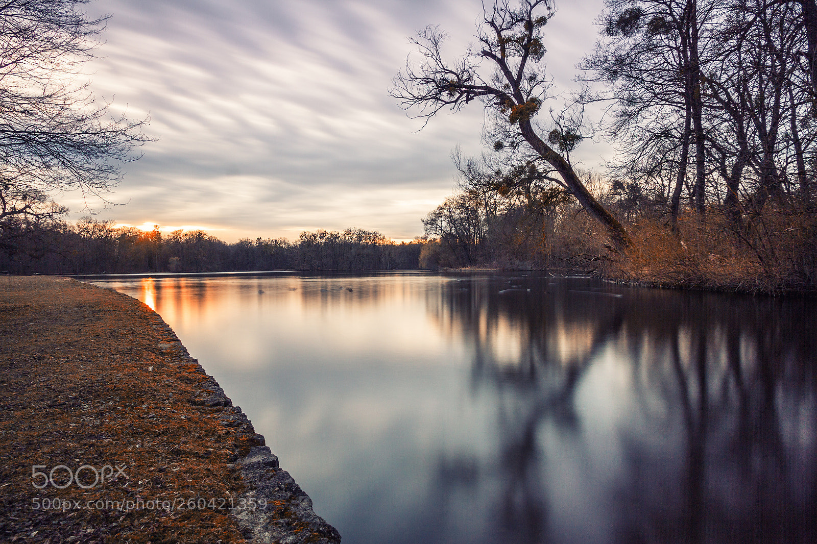 Canon EOS 7D sample photo. English garden sunset photography