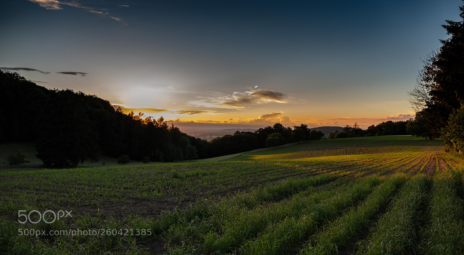 Canon EOS 6D sample photo. Orange photography