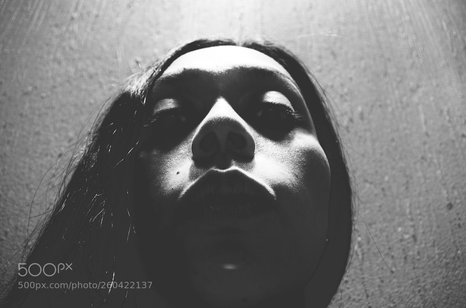 Pentax K-50 sample photo. Untitled photography