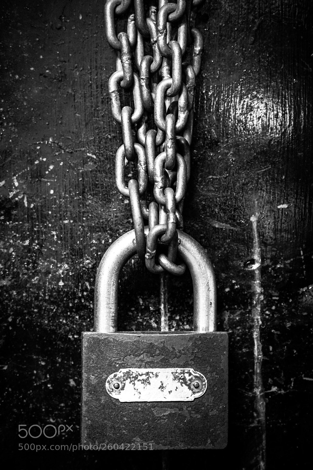 Nikon D5300 sample photo. Chain locks photography