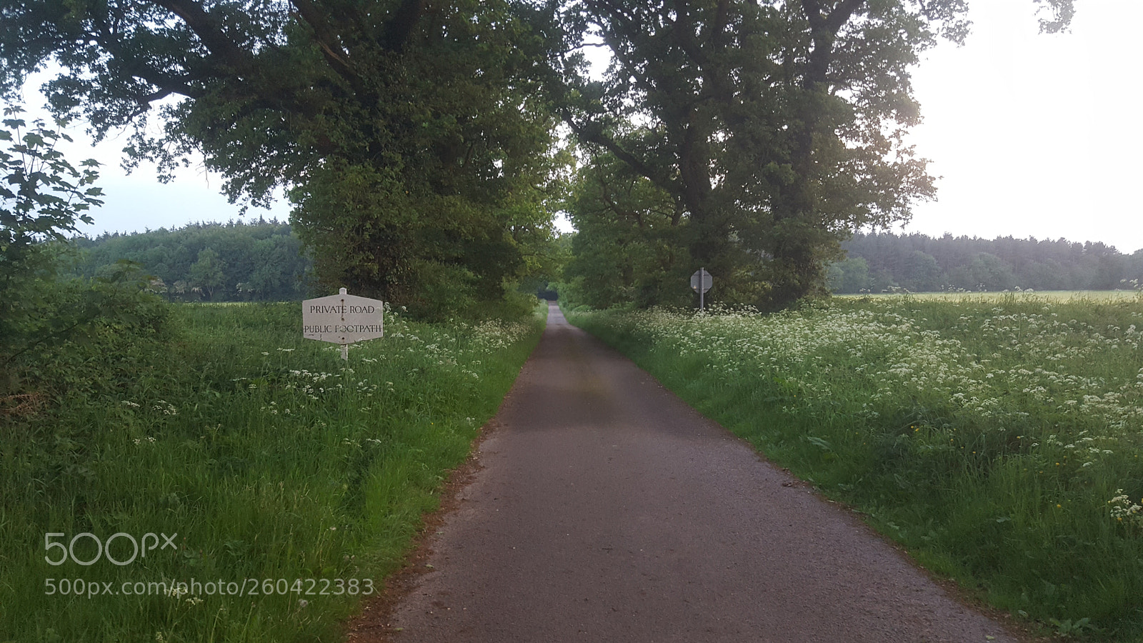 Samsung Galaxy S6 sample photo. 20180527_204824.jpg photography