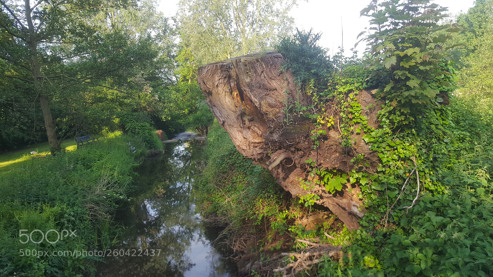 Samsung Galaxy S6 sample photo. 20180527_073453.jpg photography