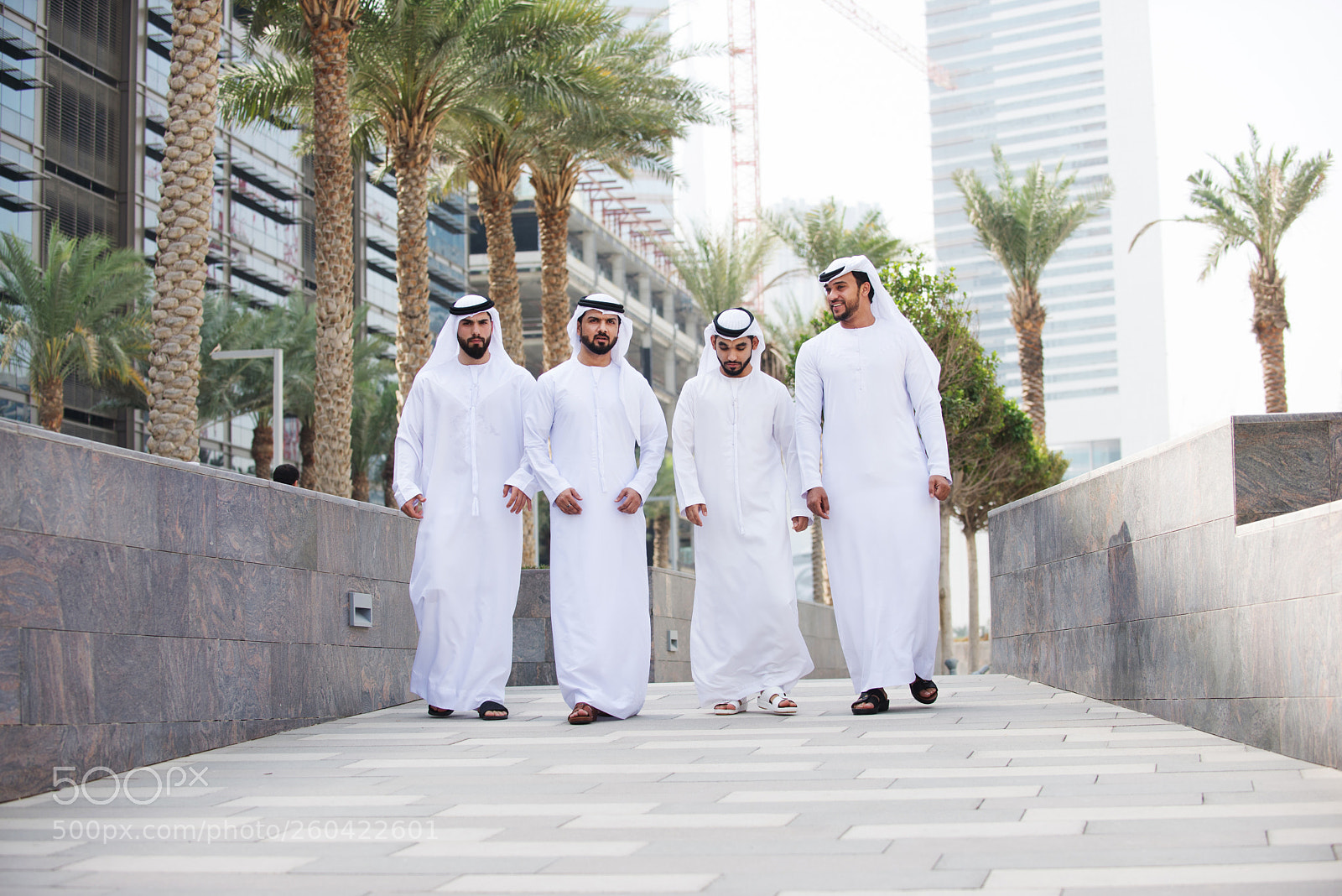 Nikon D610 sample photo. Group of businessmen in photography