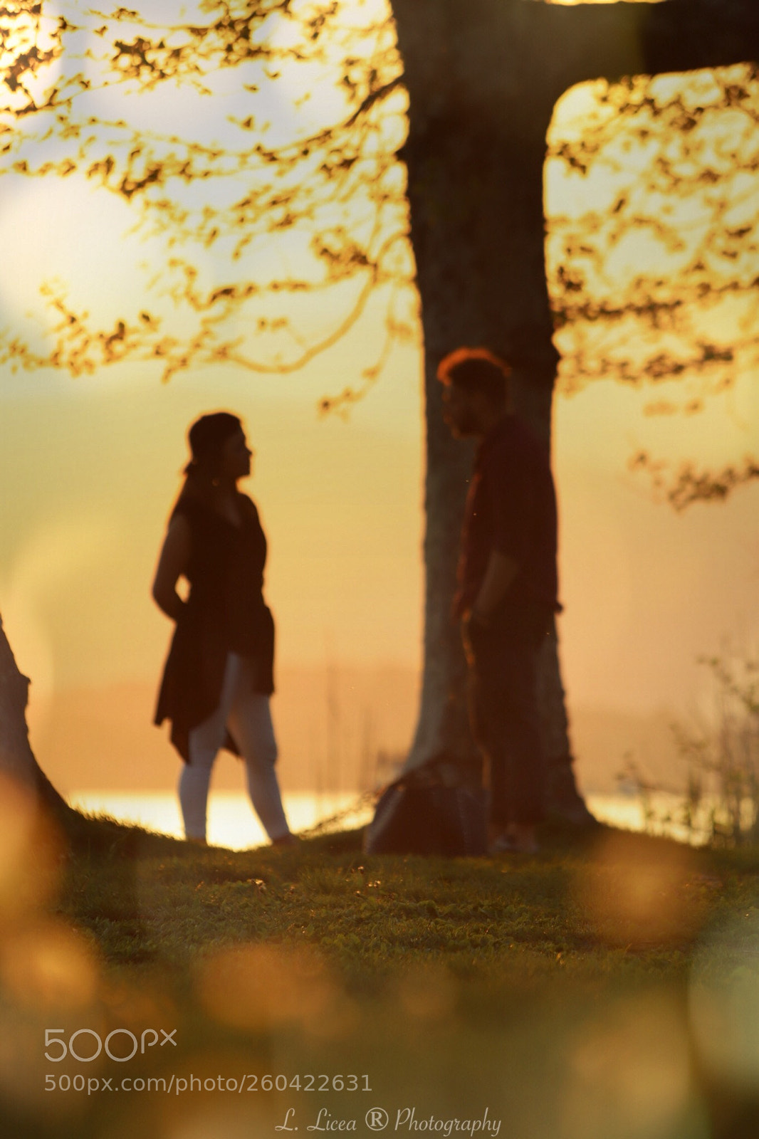 Canon EOS 6D Mark II sample photo. Caress of light 74 photography