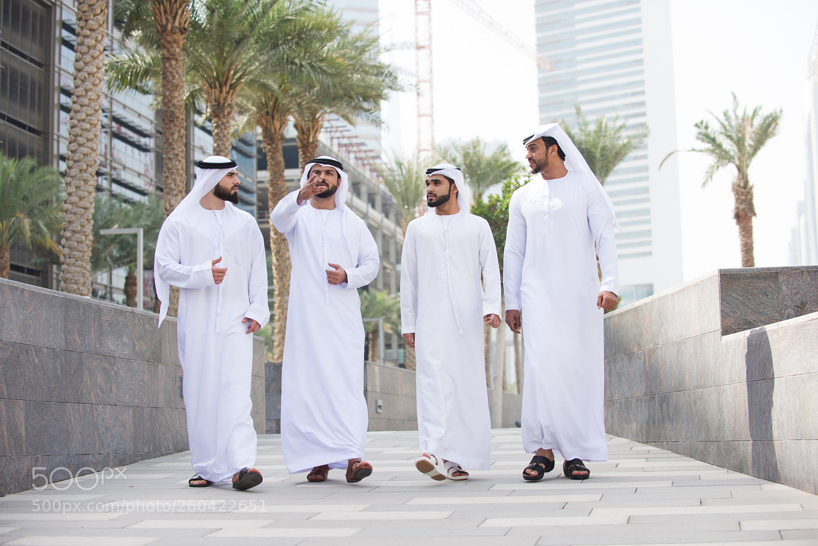 Nikon D610 sample photo. Group of businessmen in photography