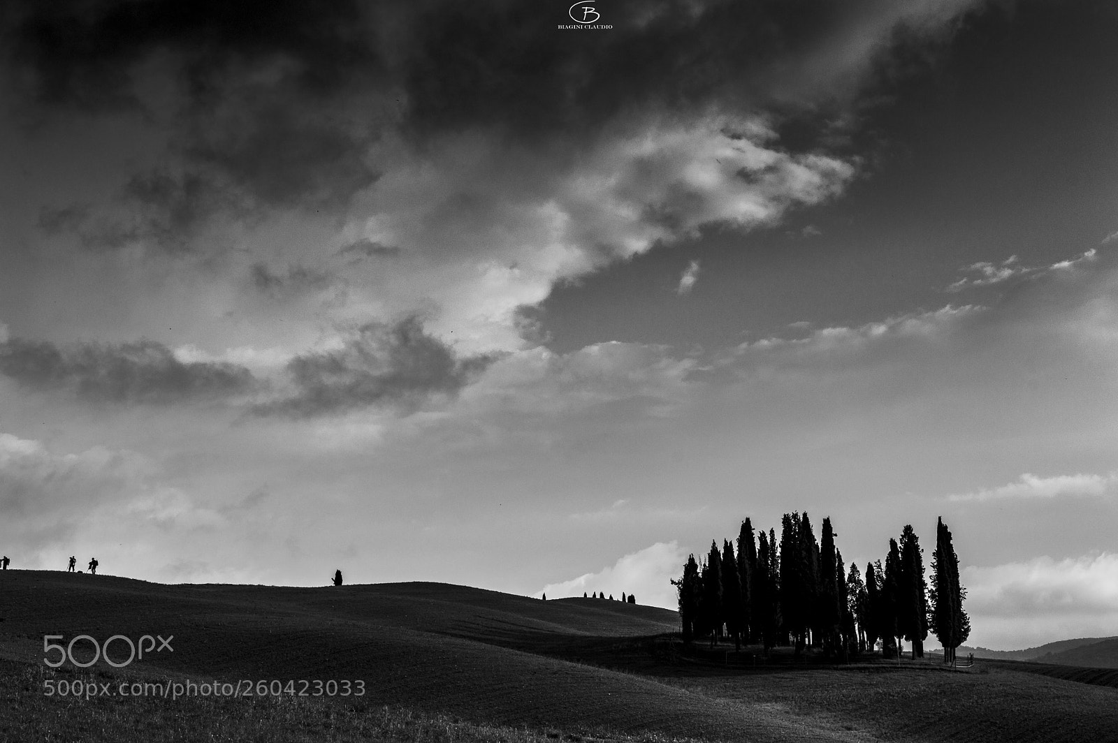 Nikon D3200 sample photo. Cipressi di san quirico photography