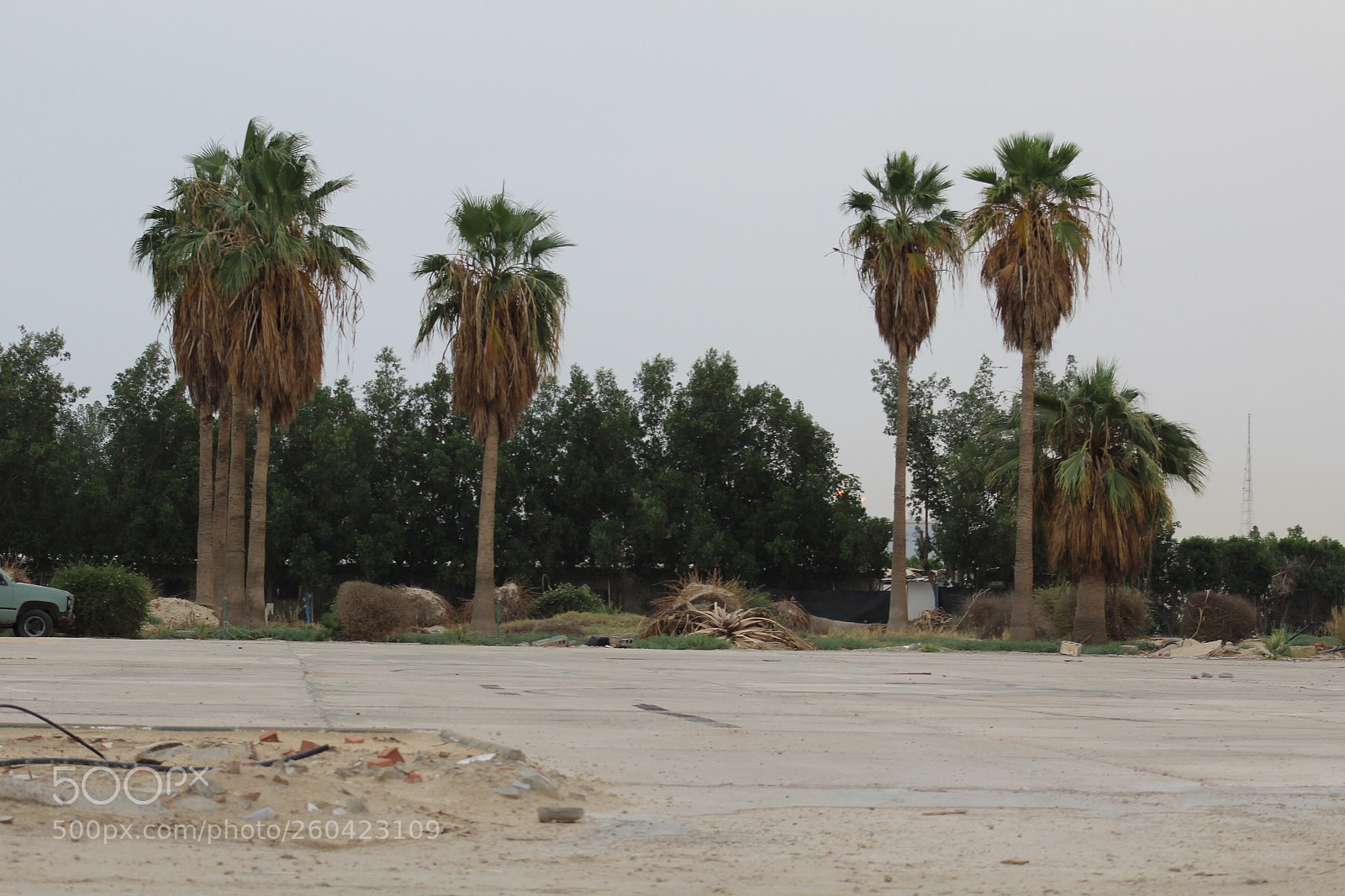 Canon EOS 1200D (EOS Rebel T5 / EOS Kiss X70 / EOS Hi) sample photo. First picture with my photography