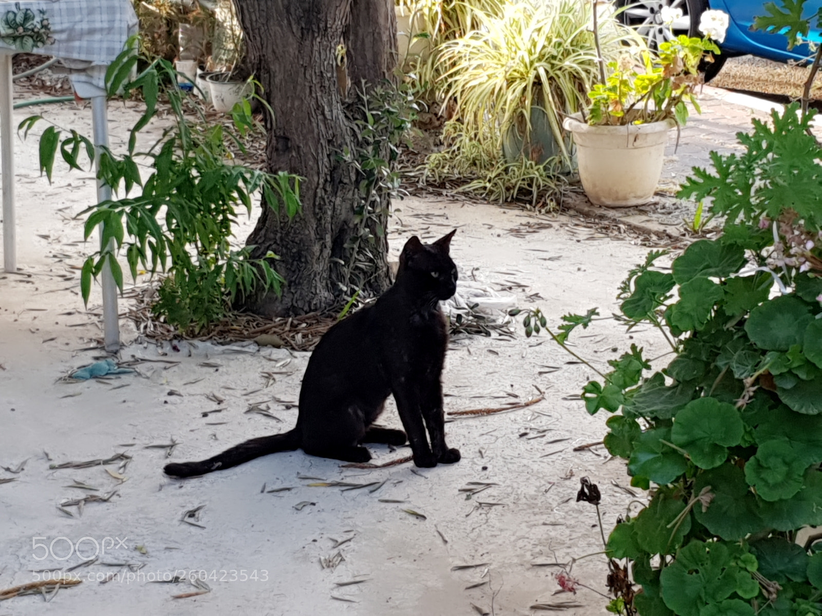 Samsung Galaxy S9+ sample photo. Untitled photography