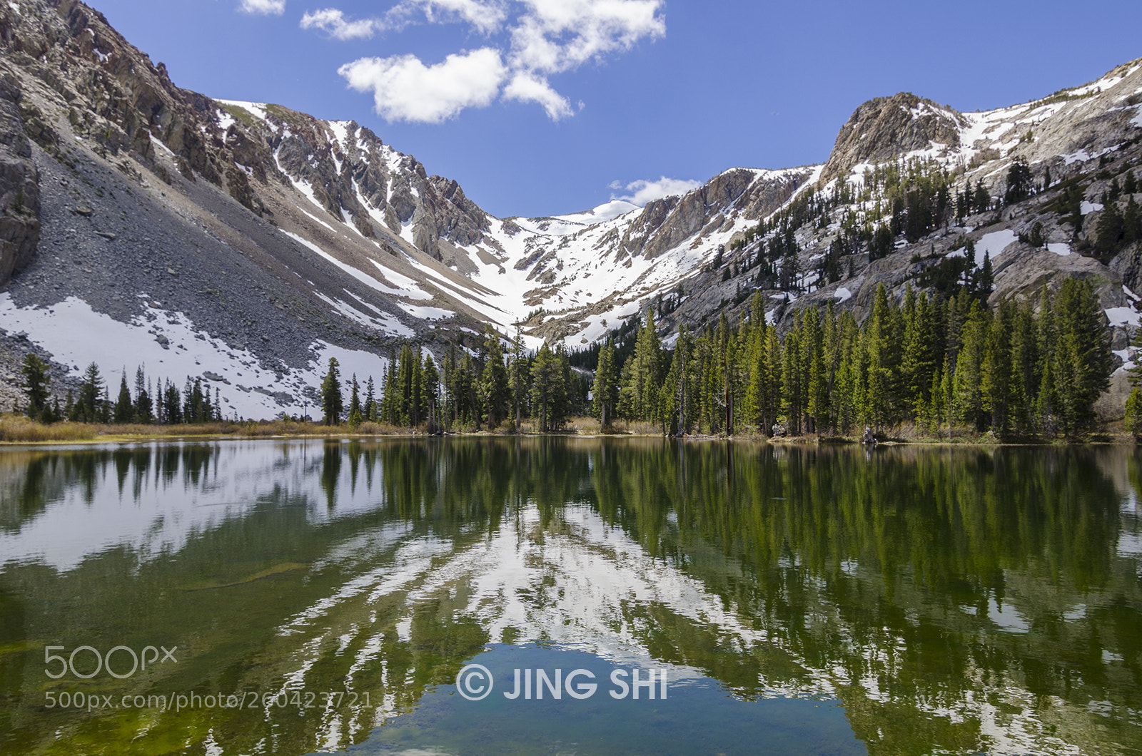 Nikon D7000 sample photo. Fern lake photography