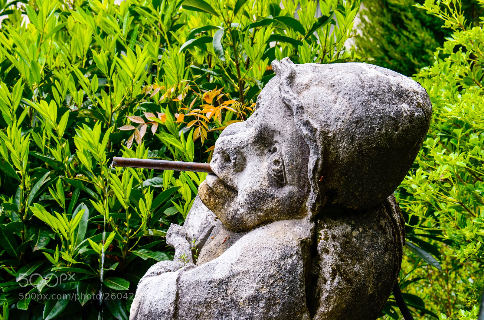 Nikon D7000 sample photo. Lost in the garden photography