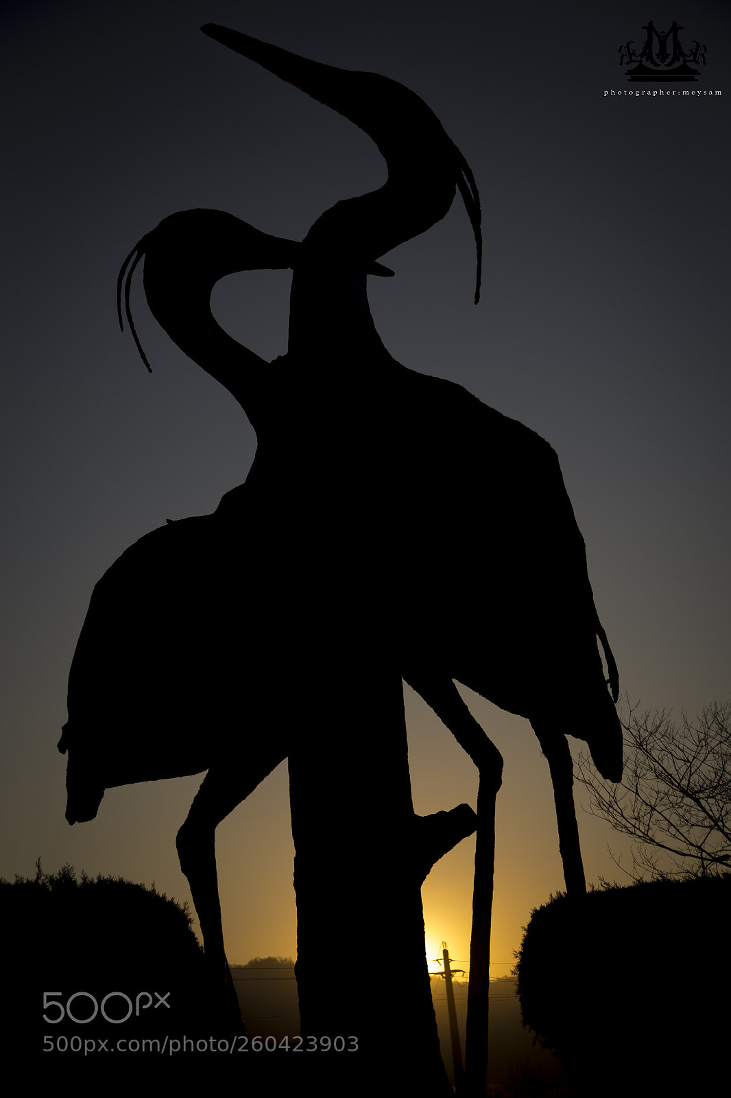 Canon EOS 6D sample photo. Mg photography