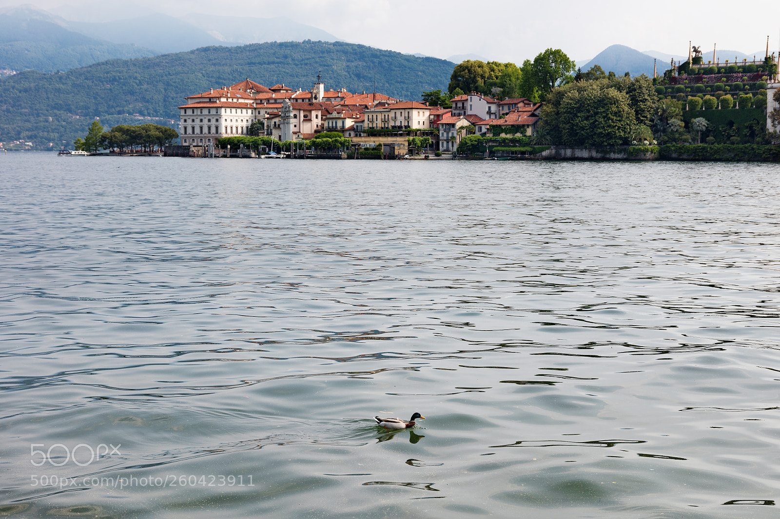 Canon EOS 5DS R sample photo. Lago maggiore photography
