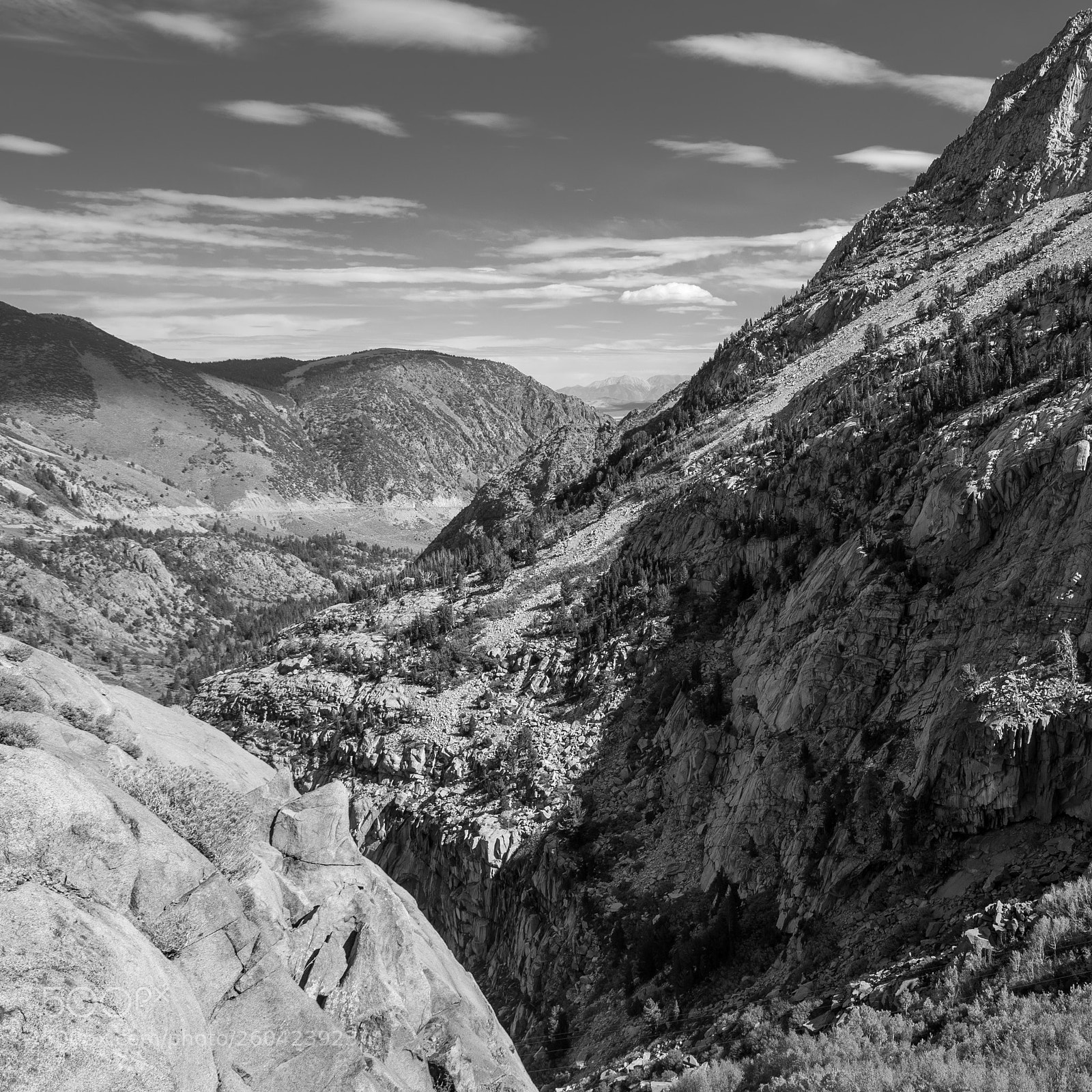 Nikon D750 sample photo. Tioga pass road photography