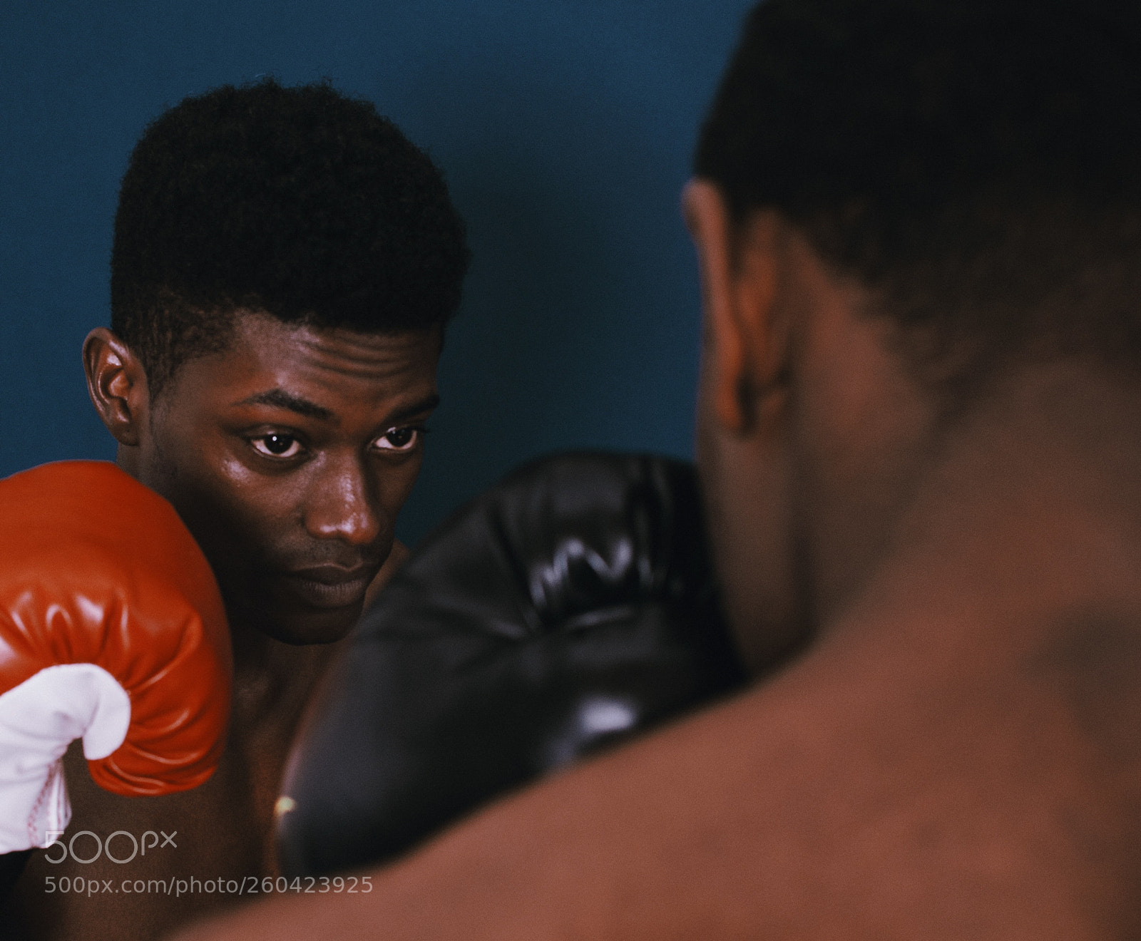 Nikon D7000 sample photo. The battle begins photography