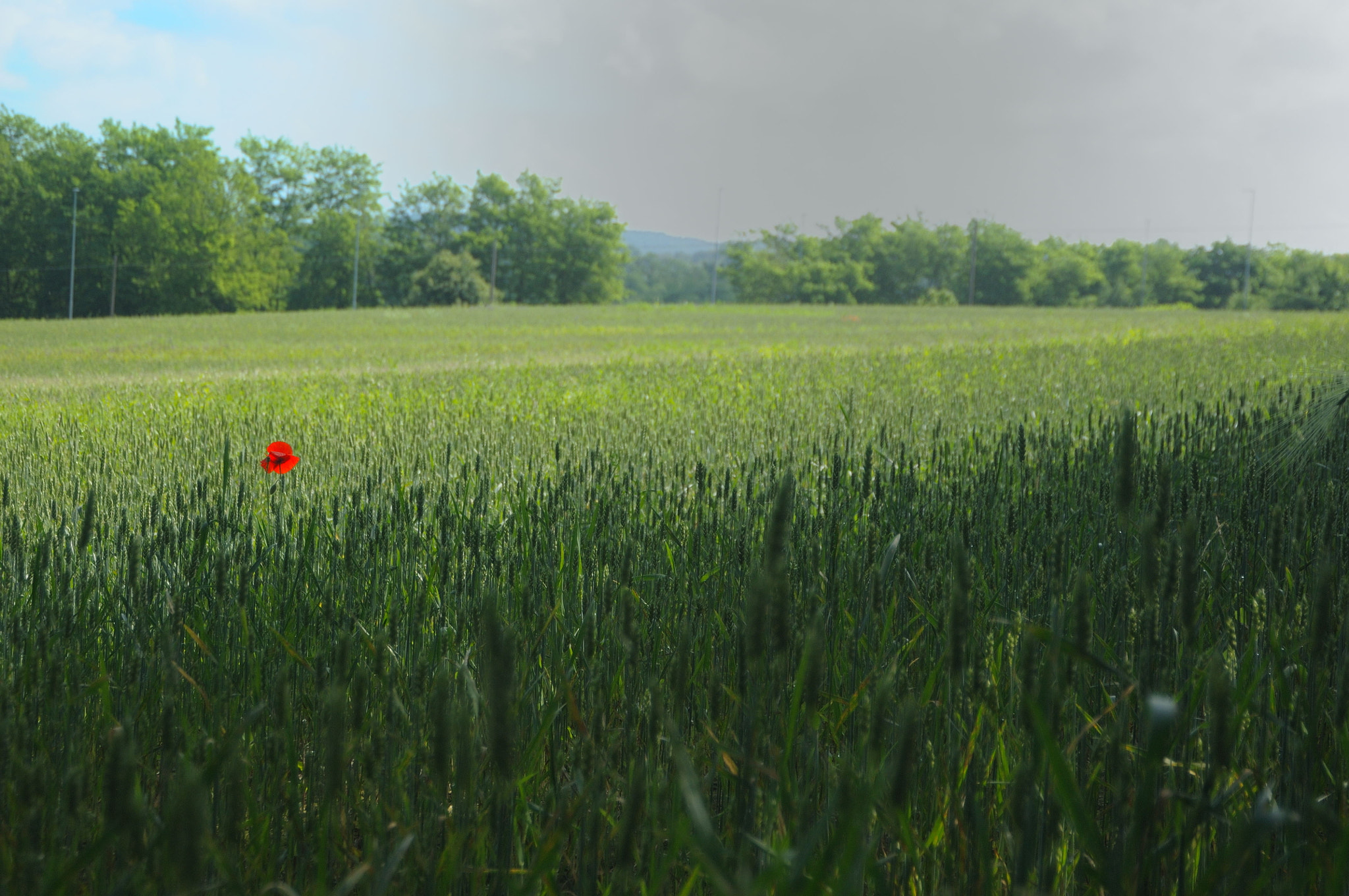 Nikon D300 sample photo. Only you. photography