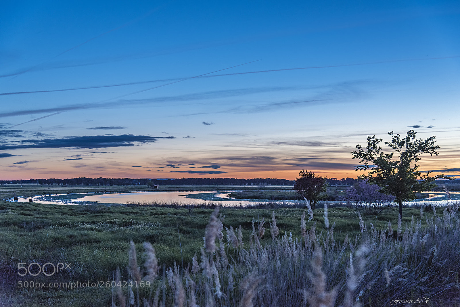 Nikon D750 sample photo. Wetlands photography