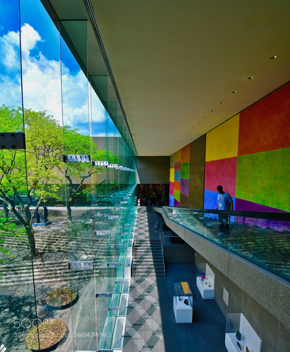 Nikon D500 sample photo. Patterns & colours photography