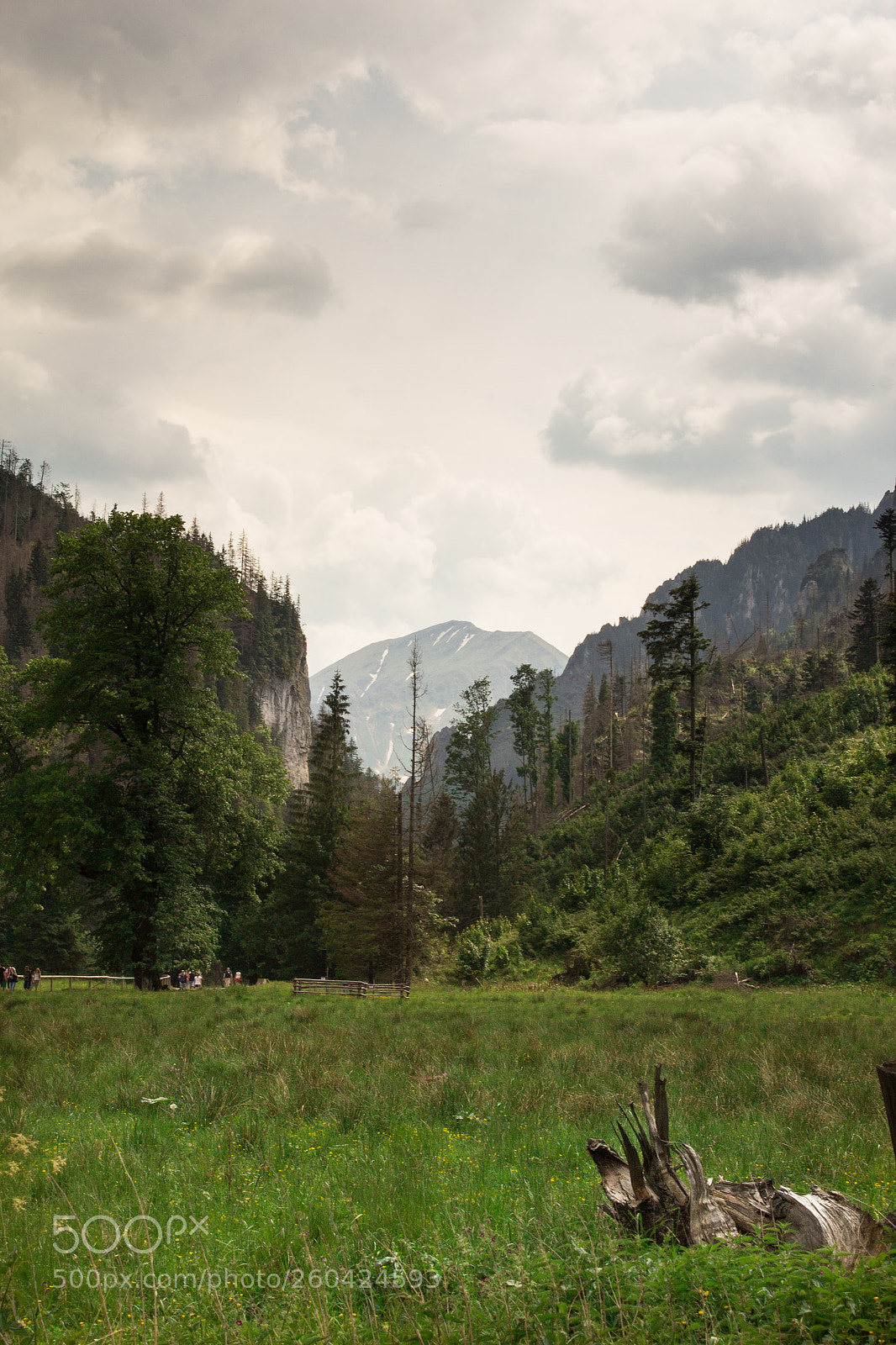 Canon EOS 600D (Rebel EOS T3i / EOS Kiss X5) sample photo. Polish mountains photography