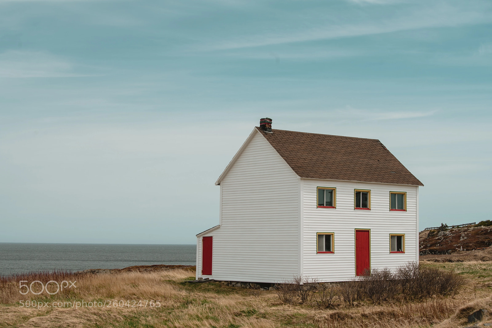 Sony a7R II sample photo. Peace-loving photography