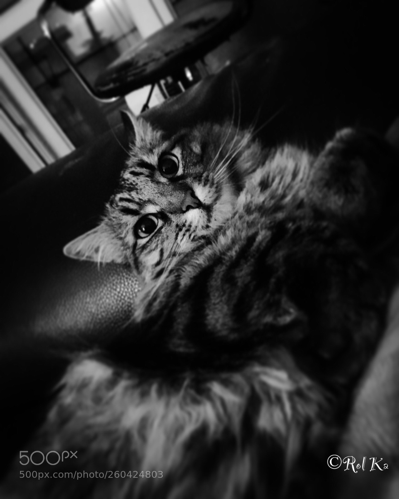 Apple iPhone SE sample photo. Pacha photography