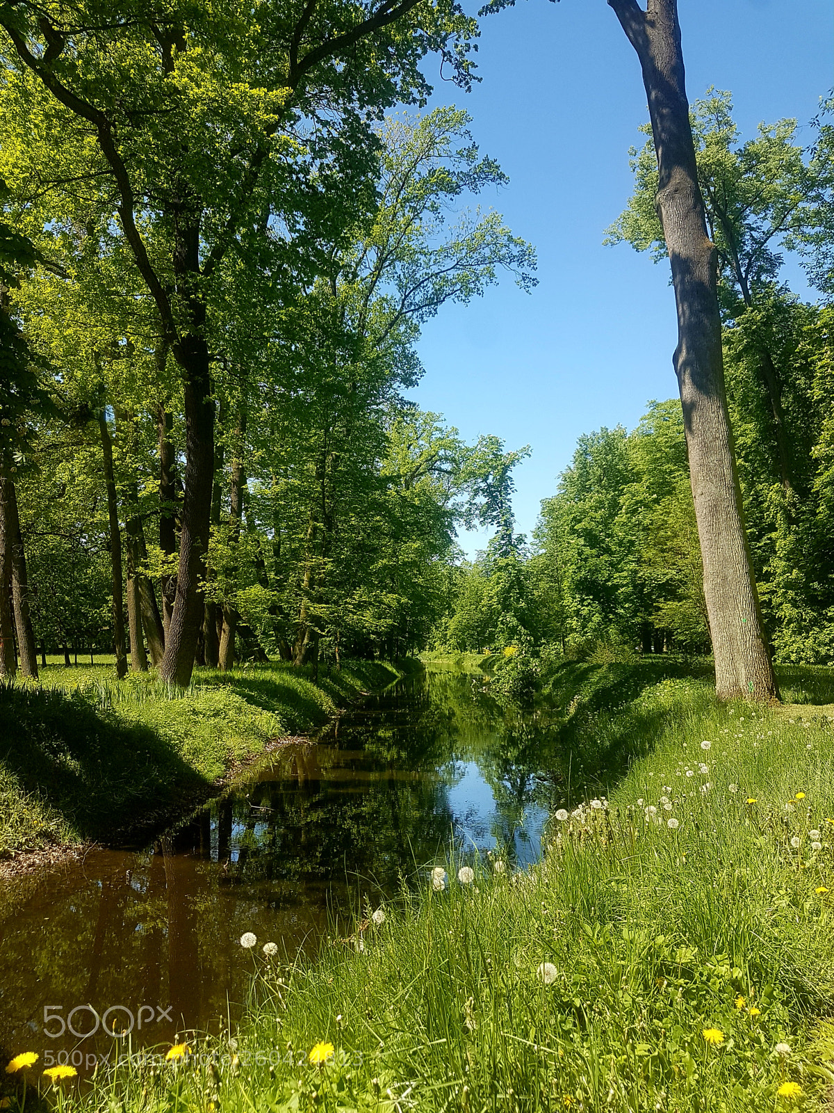 Samsung Galaxy S7 Edge sample photo. Untitled photography