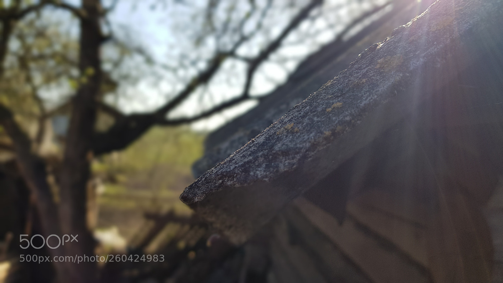 Samsung Galaxy S8 sample photo. Untitled photography