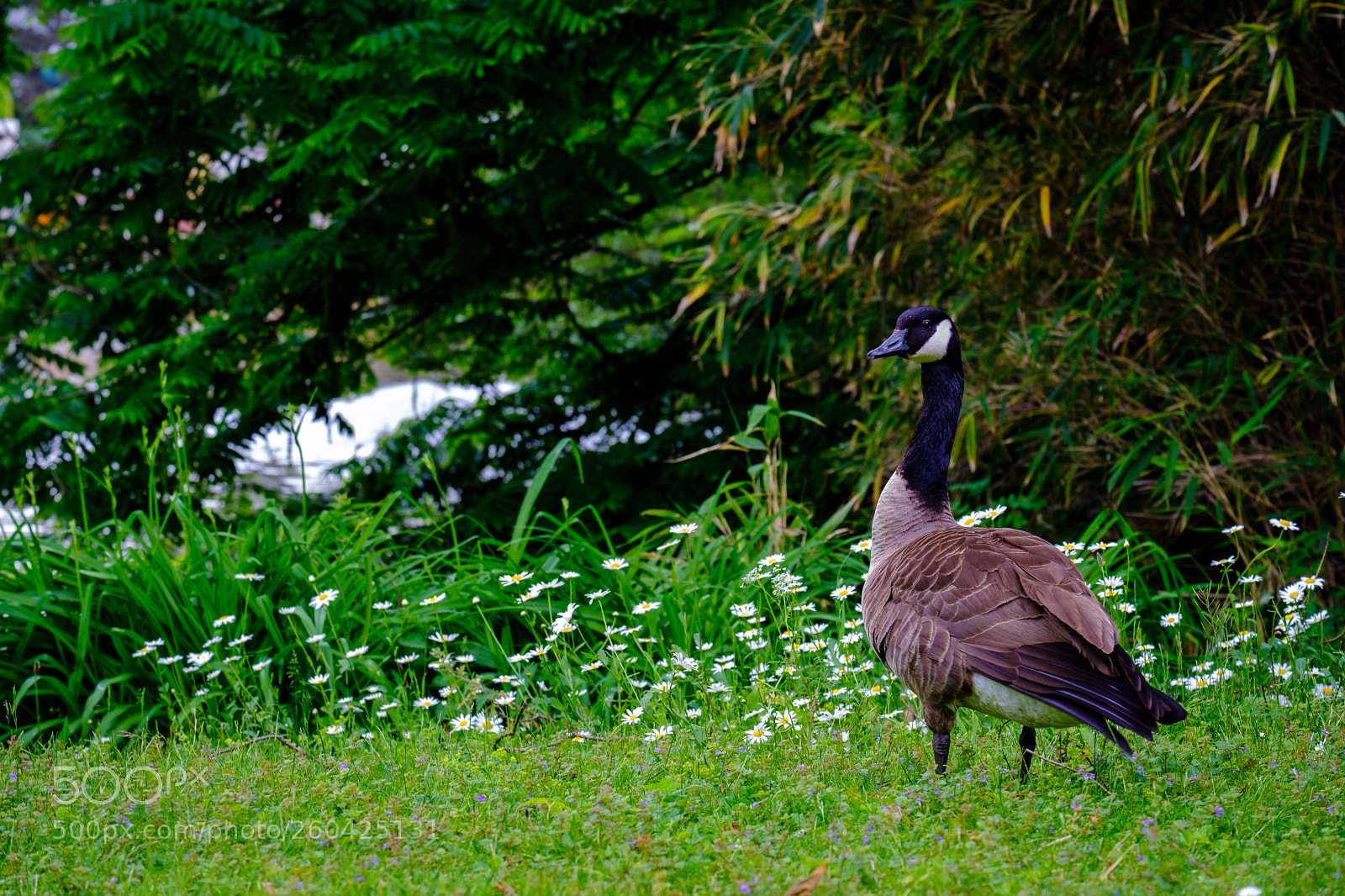 Fujifilm X-E3 sample photo. Untitled photography