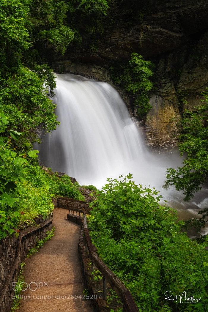 Nikon D850 sample photo. Raging looking glass falls photography