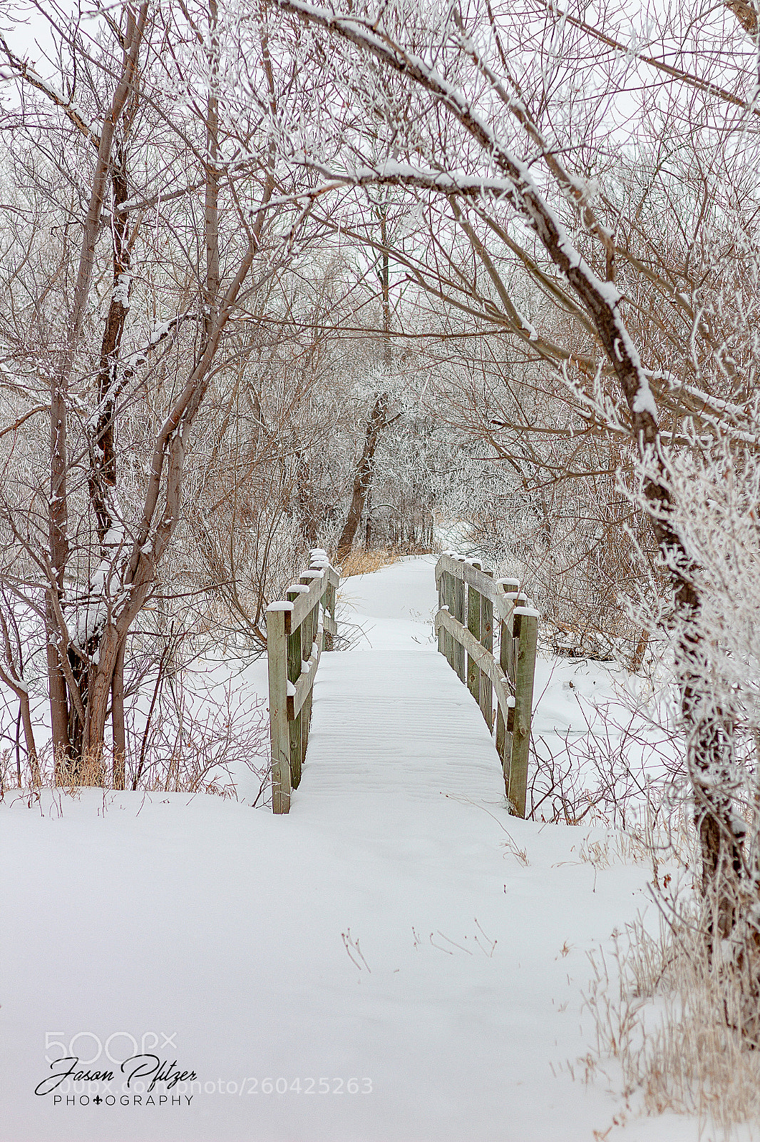 Canon EOS 1300D (EOS Rebel T6 / EOS Kiss X80) sample photo. Foot bridge photography